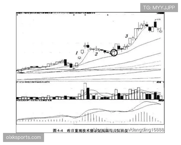 加纳能否重现2010辉煌 2026世界杯黑马潜力深度解析